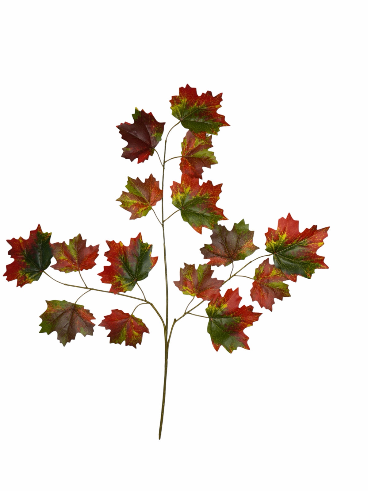 Ghilliepuck Maple - Red-Green branch set