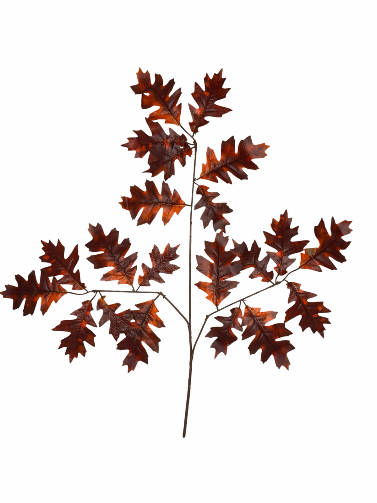 Ghilliepuck Oak - Auburn branch set