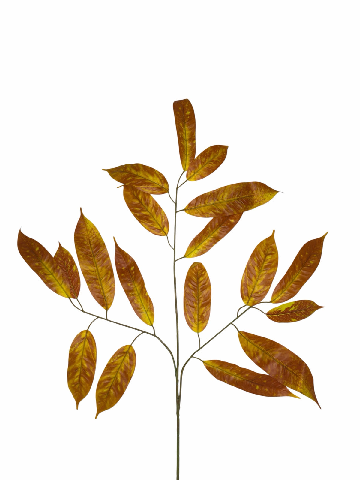Ghilliepuck Oak - Brown-Gold branch set