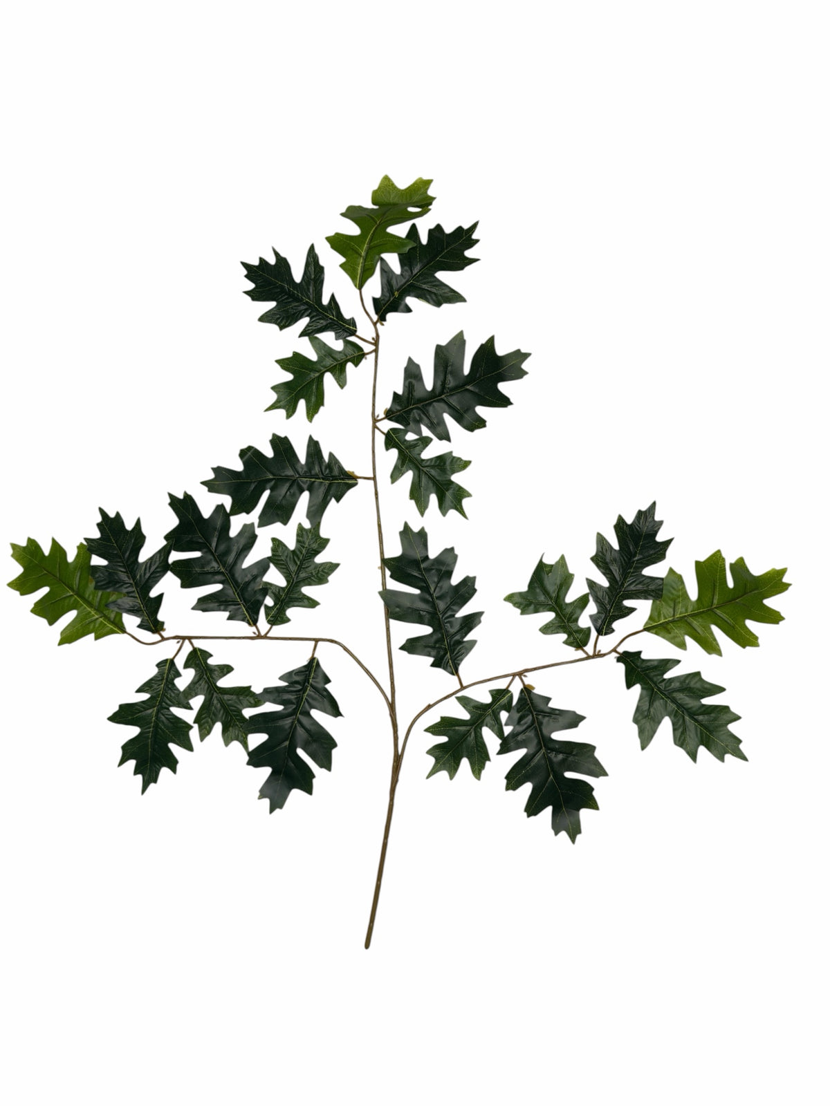 Ghilliepuck Oak - Green branch set