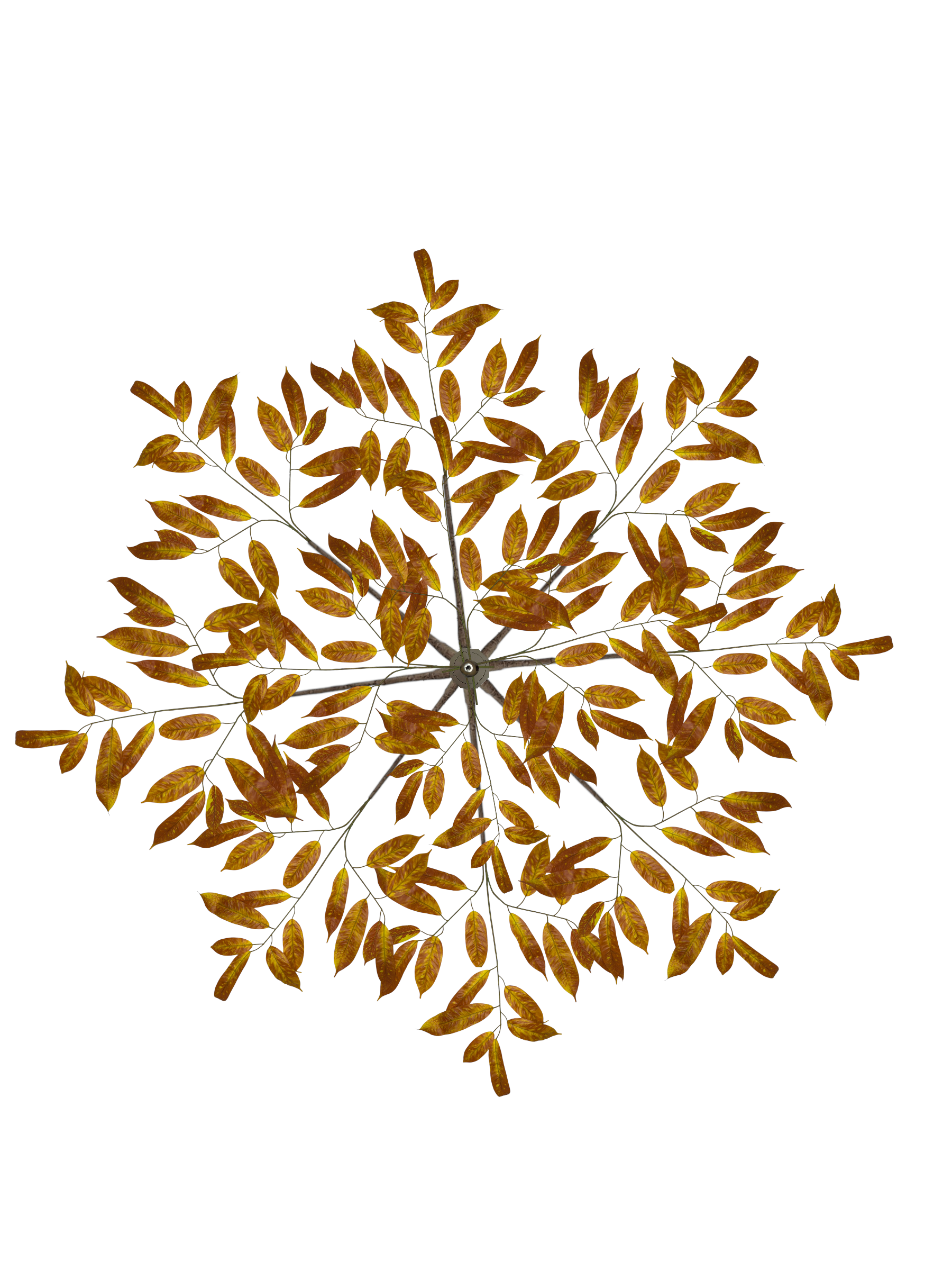 Tier 2 Stationary Kit (PVC) – Magnolia Brown-Gold