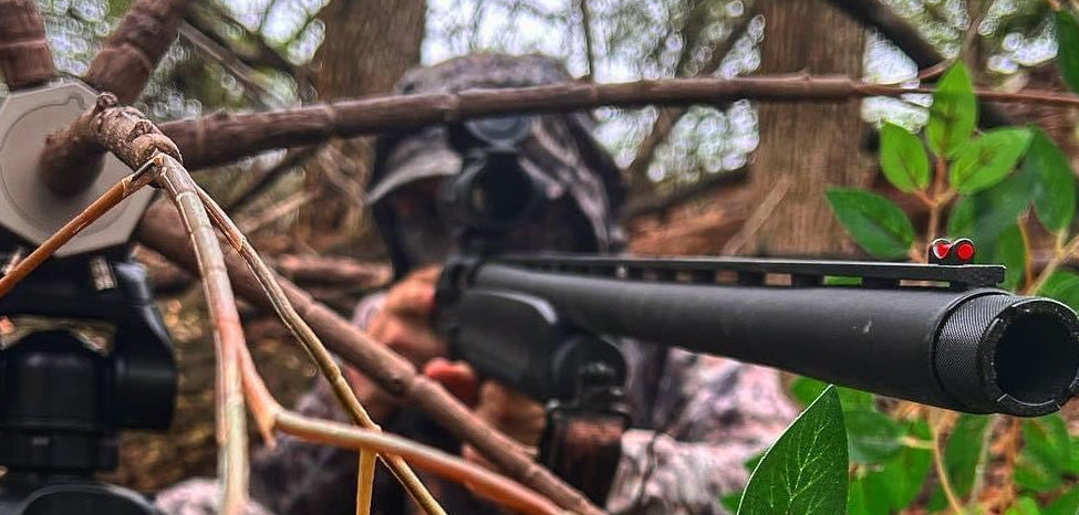 Hunting scene with a rifle and camera setup in a forest.