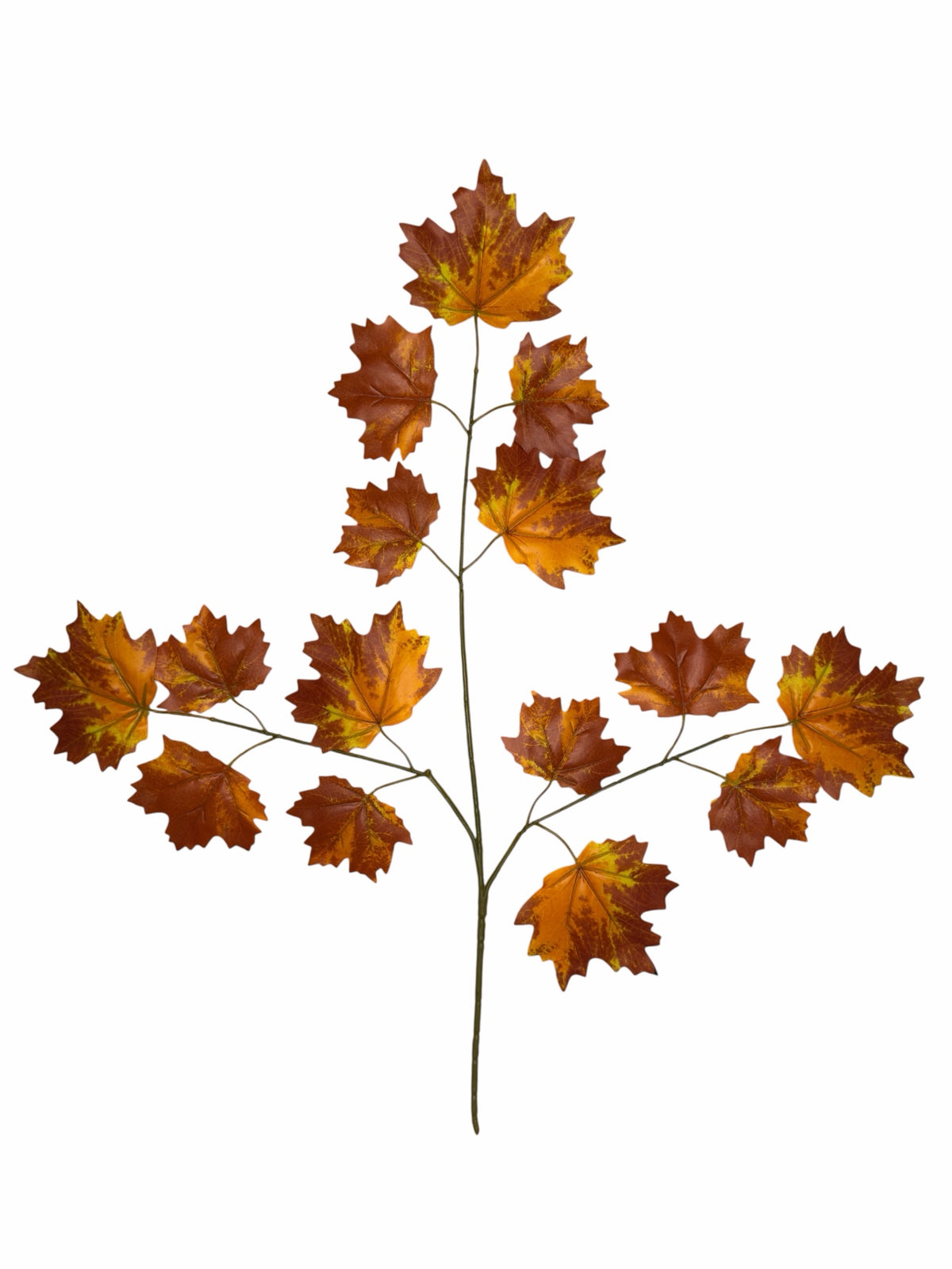 Ghilliepuck Maple - Brown-Gold branch set