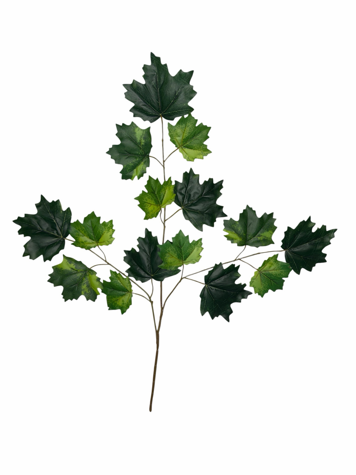 Ghilliepuck Maple - Green branch set