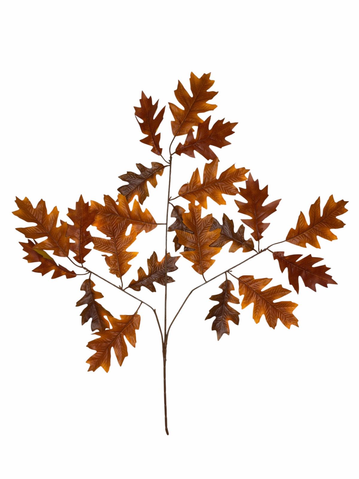 Ghilliepuck Oak - Brown branch set