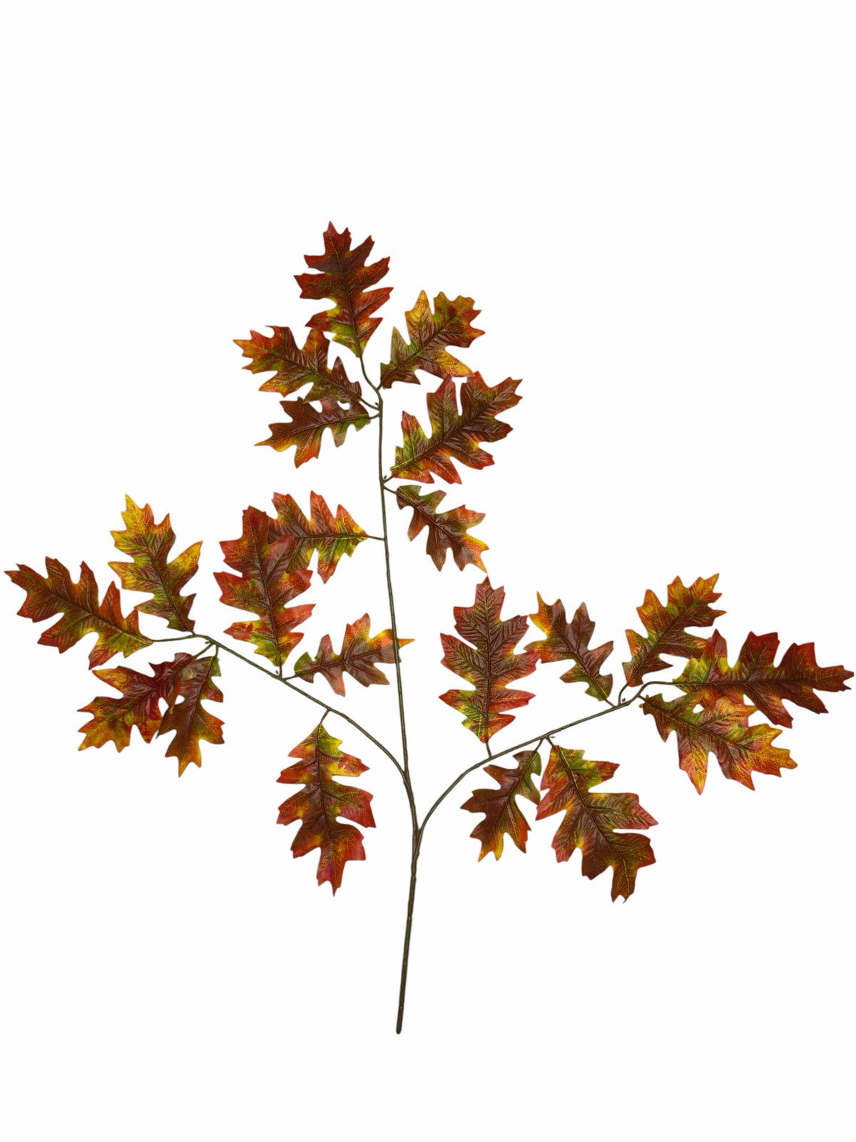 Ghilliepuck Oak - Auburn-Brown branch set