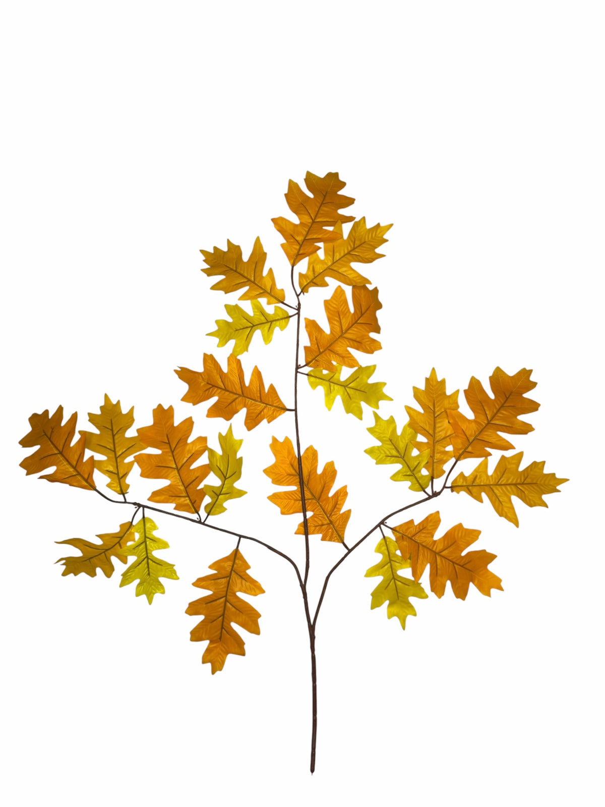 Ghilliepuck Oak - Green-Auburn branch set