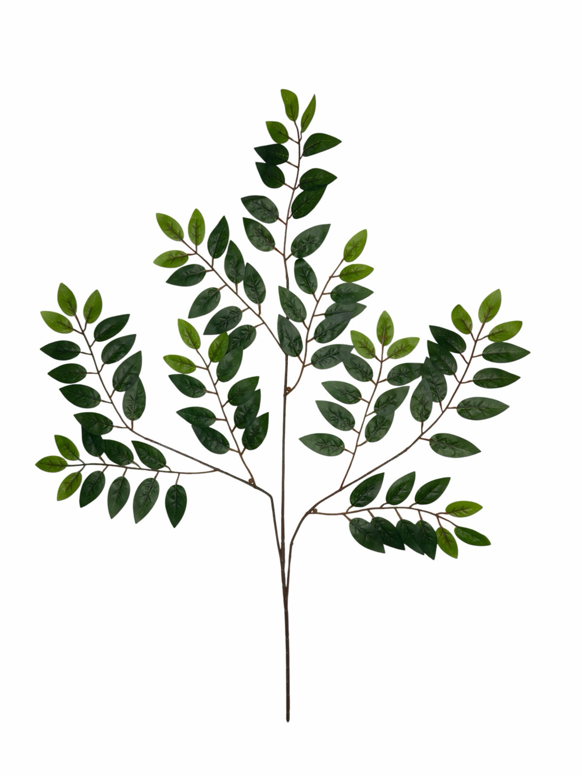 Ghilliepuck Walnut - Green branch set